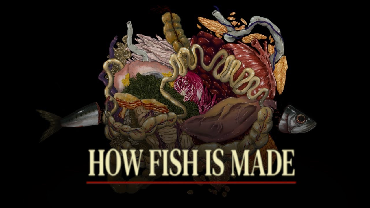 How Fish Is Made